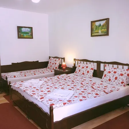 Gasthuis Casa Cu Cerdac Sighişoara