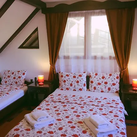 Gasthuis Casa Cu Cerdac 3*