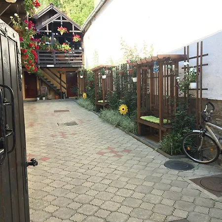 Casa Cu Cerdac Gasthuis 3*